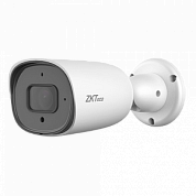 IP камера ZKTeco BS-854N22C-E3