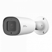 IP камера ZKTeco BL-854N38A-E3